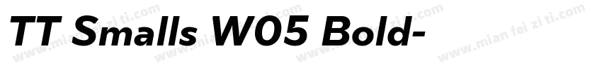 TT Smalls W05 Bold字体转换